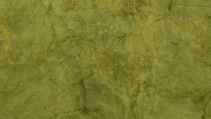 Guacamole 14X8 Ultracloth ( 168 X 96 Inch ) Backdrop