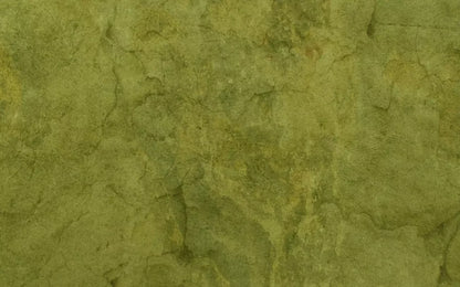 Guacamole 14X9 Ultracloth ( 168 X 108 Inch ) Backdrop