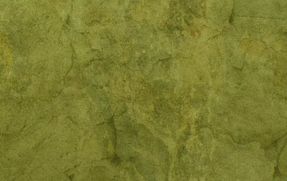 Guacamole 16X10 Ultracloth ( 192 X 120 Inch ) Backdrop