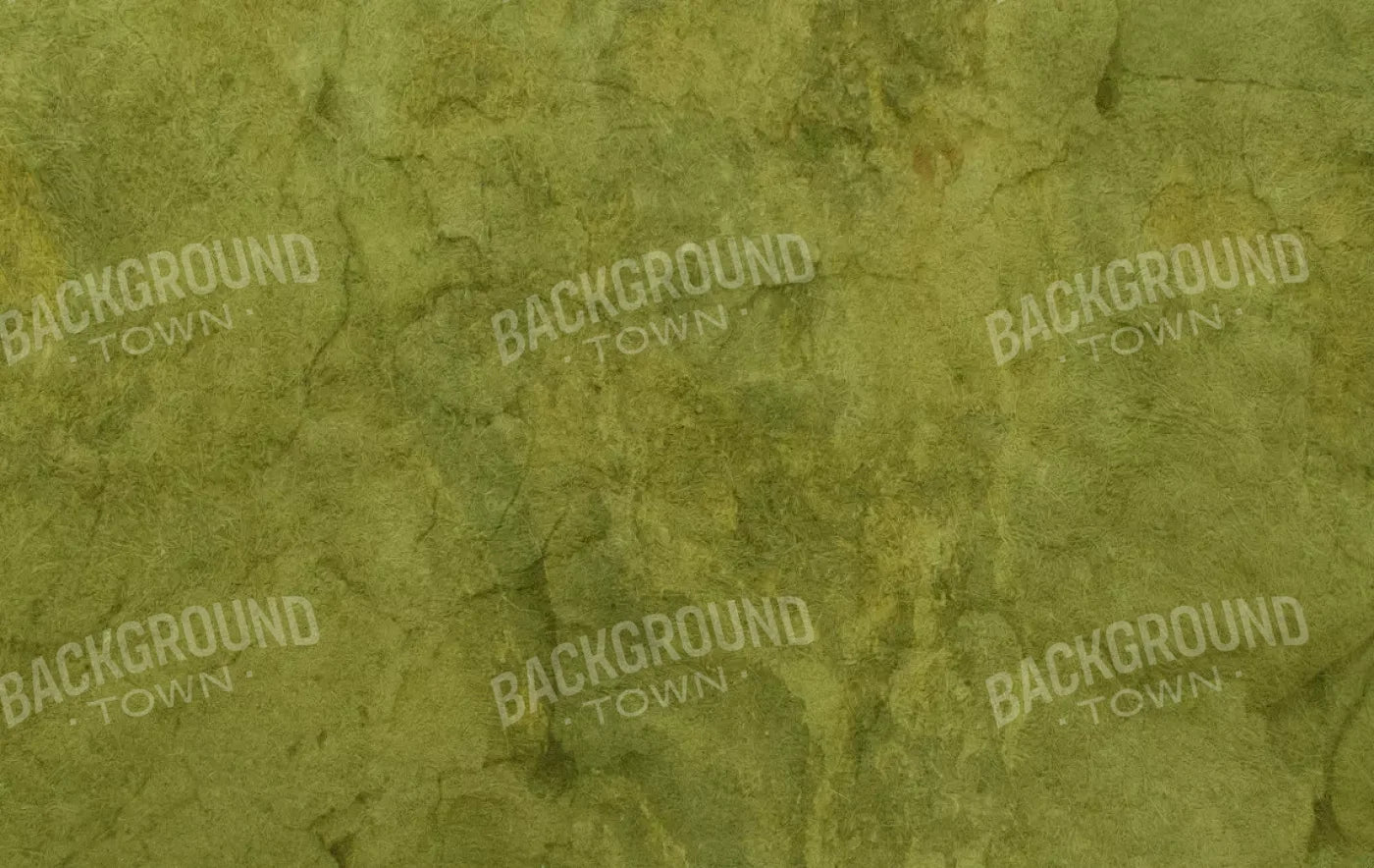 Guacamole 16X10 Ultracloth ( 192 X 120 Inch ) Backdrop