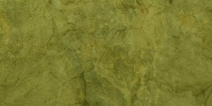 Guacamole 20X10 Ultracloth ( 240 X 120 Inch ) Backdrop