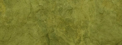 Guacamole 20X8 Ultracloth ( 240 X 96 Inch ) Backdrop