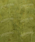 Green Textured Backdrop for Photography