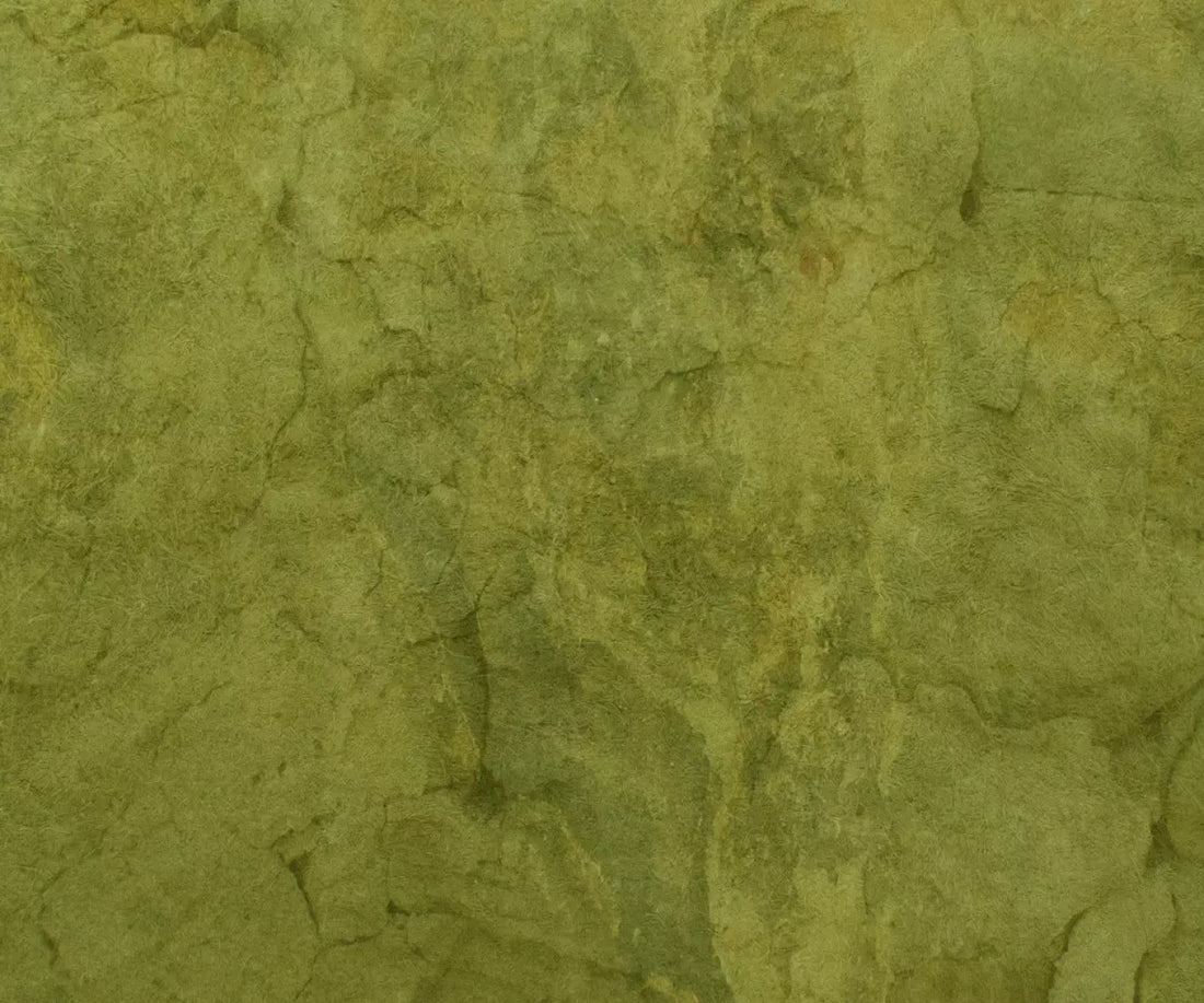 Guacamole 5X42 Fleece ( 60 X 50 Inch ) Backdrop