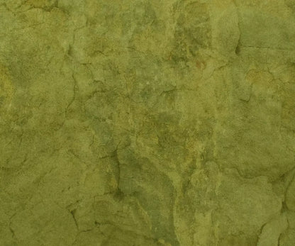 Guacamole 5X42 Fleece ( 60 X 50 Inch ) Backdrop