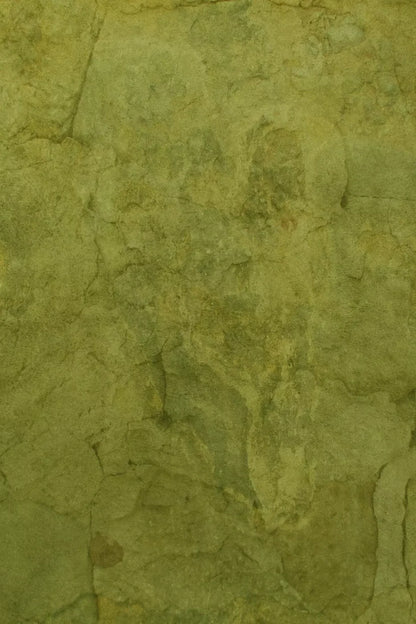 Guacamole 5X8 Ultracloth ( 60 X 96 Inch ) Backdrop