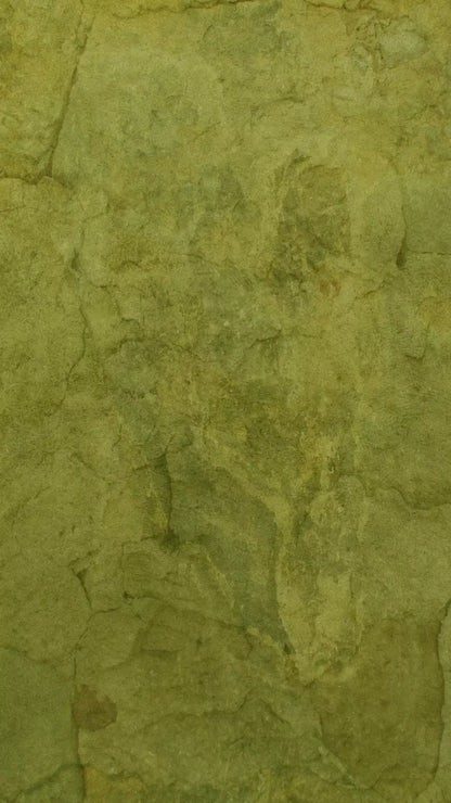Guacamole 8X14 Ultracloth ( 96 X 168 Inch ) Backdrop