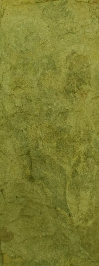 Guacamole 8X20 Ultracloth ( 96 X 240 Inch ) Backdrop