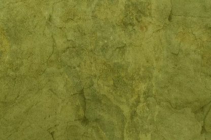 Guacamole 8X5 Ultracloth ( 96 X 60 Inch ) Backdrop