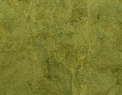 Guacamole 8X6 Fleece ( 96 X 72 Inch ) Backdrop