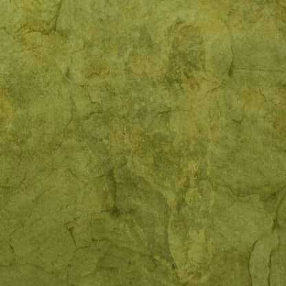 Guacamole Backdrop