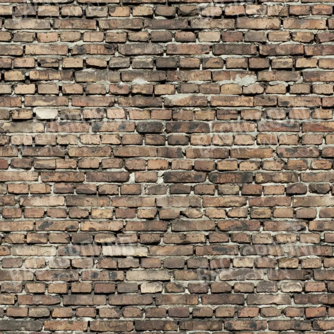 Guard 10’X10’ Ultracloth (120 X Inch) Backdrop