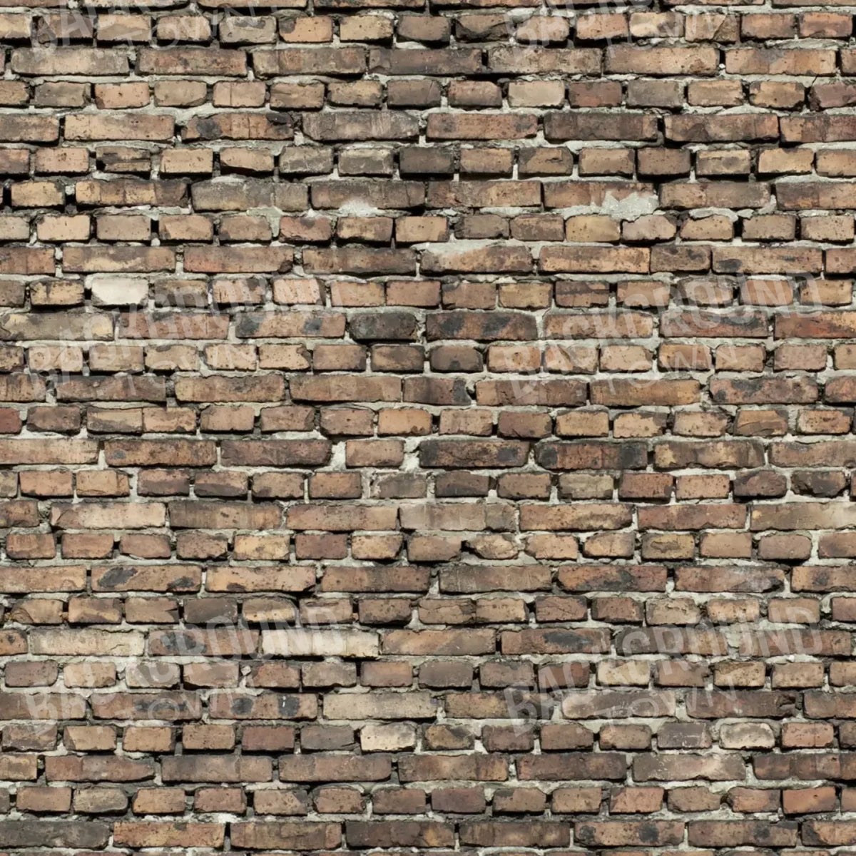Guard 10’X10’ Ultracloth (120 X Inch) Backdrop