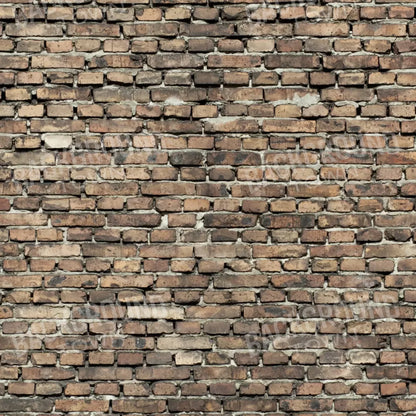 Guard 10’X10’ Ultracloth (120 X Inch) Backdrop