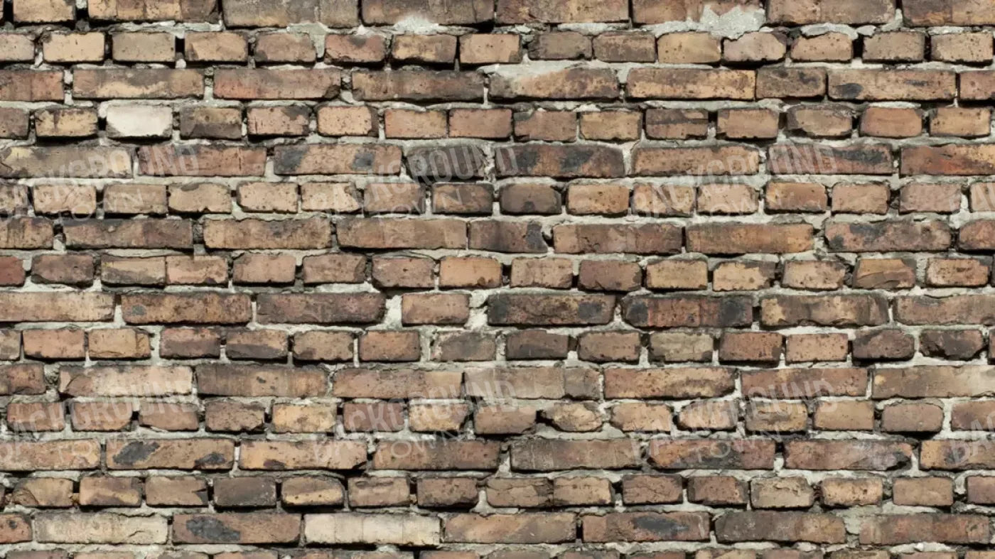 Guard 14’X8’ Ultracloth (168 X 96 Inch) Backdrop