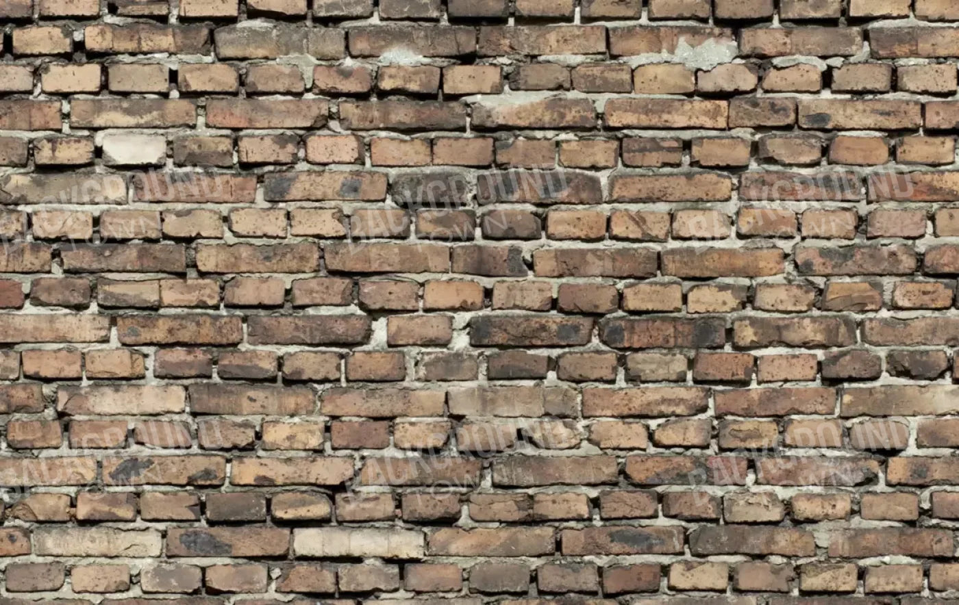 Guard 16’X10’ Ultracloth (192 X 120 Inch) Backdrop