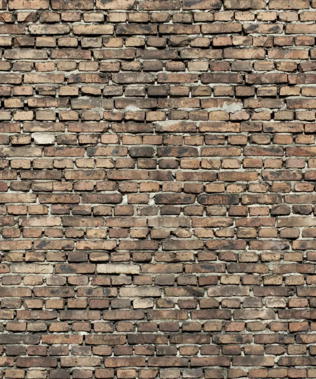 Beige Brick and Stone Backdrop for Photography