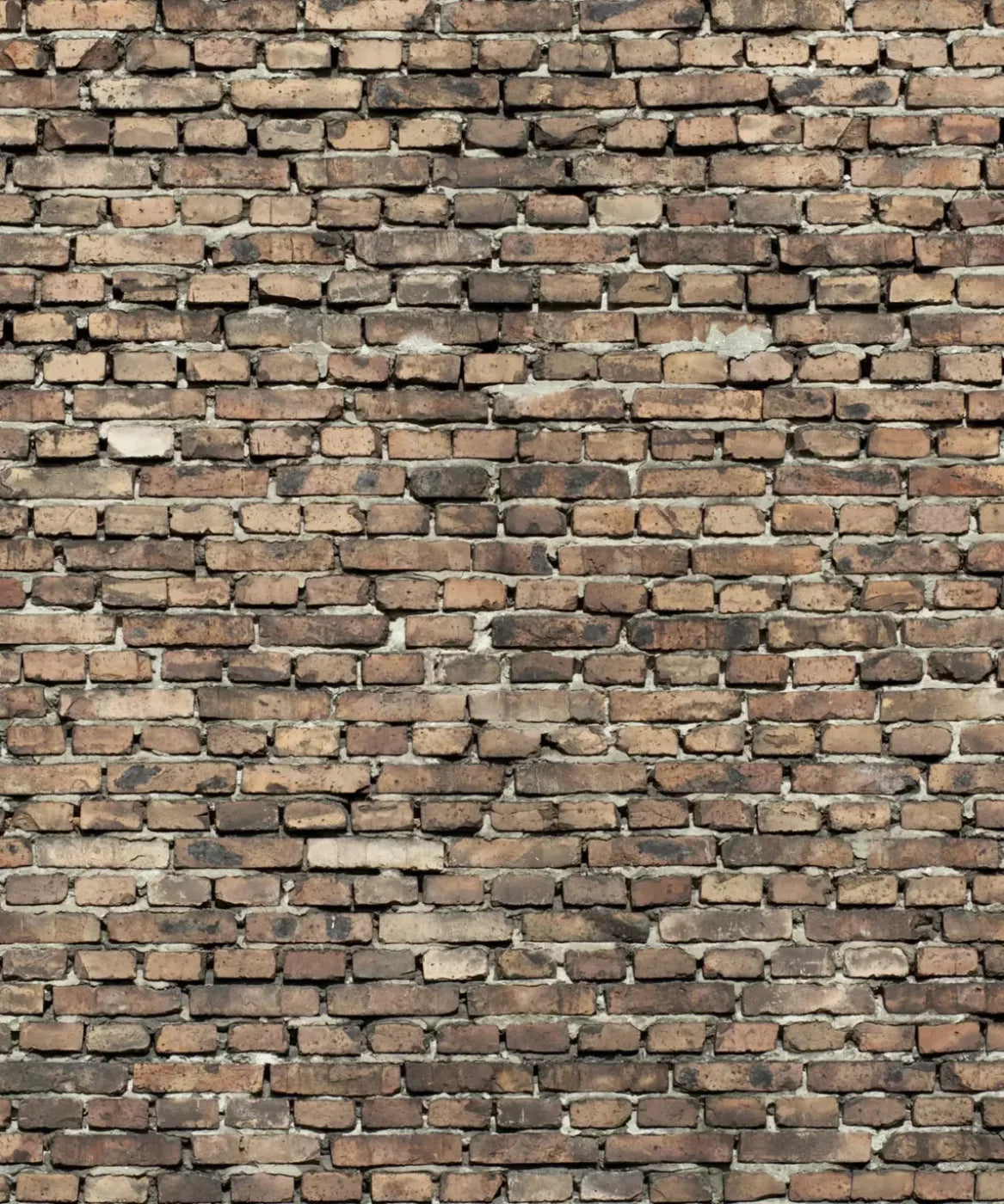 Beige Brick and Stone Backdrop for Photography