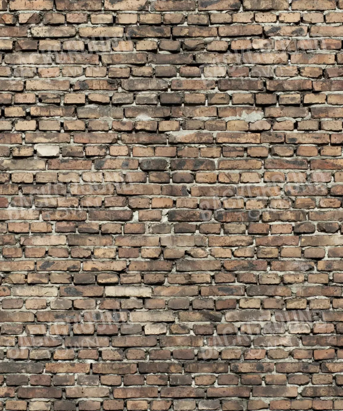 Beige Brick and Stone Backdrop for Photography