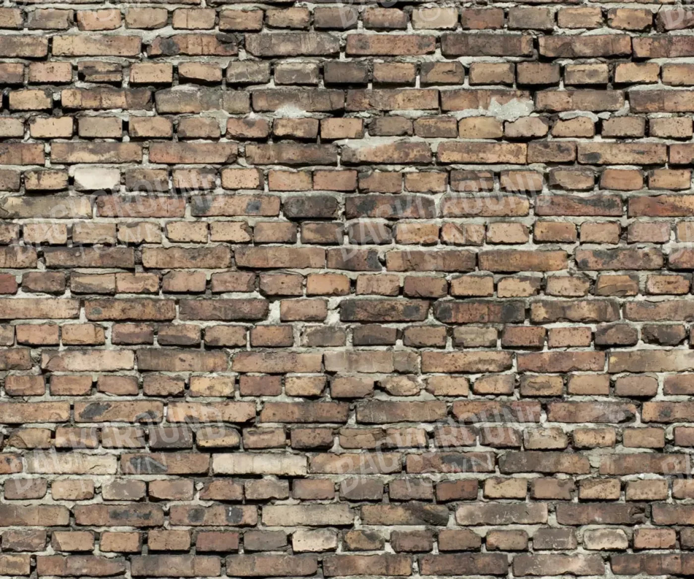 Guard 5’X4’2’ Fleece (60 X 50 Inch) Backdrop