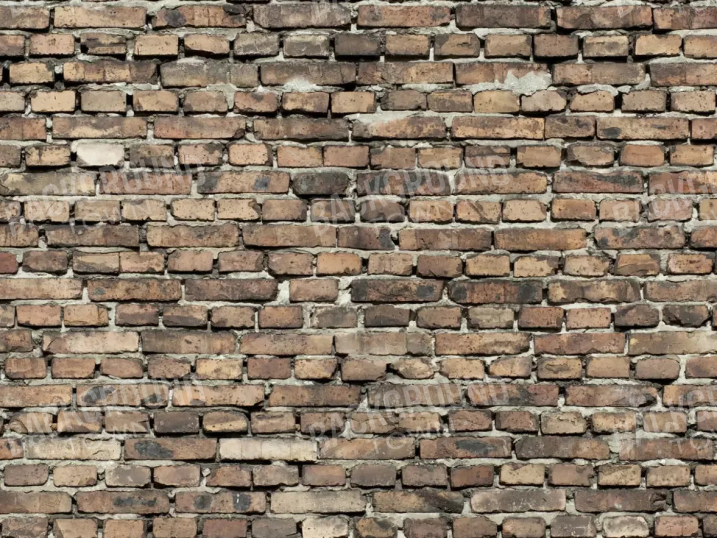 Guard 6’8’X5’ Fleece (80 X 60 Inch) Backdrop