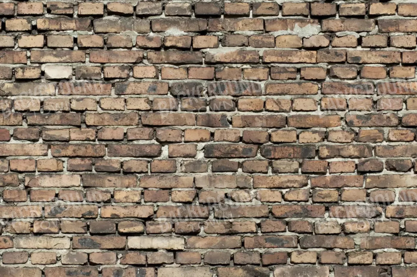 Guard 8’X5’ Ultracloth (96 X 60 Inch) Backdrop