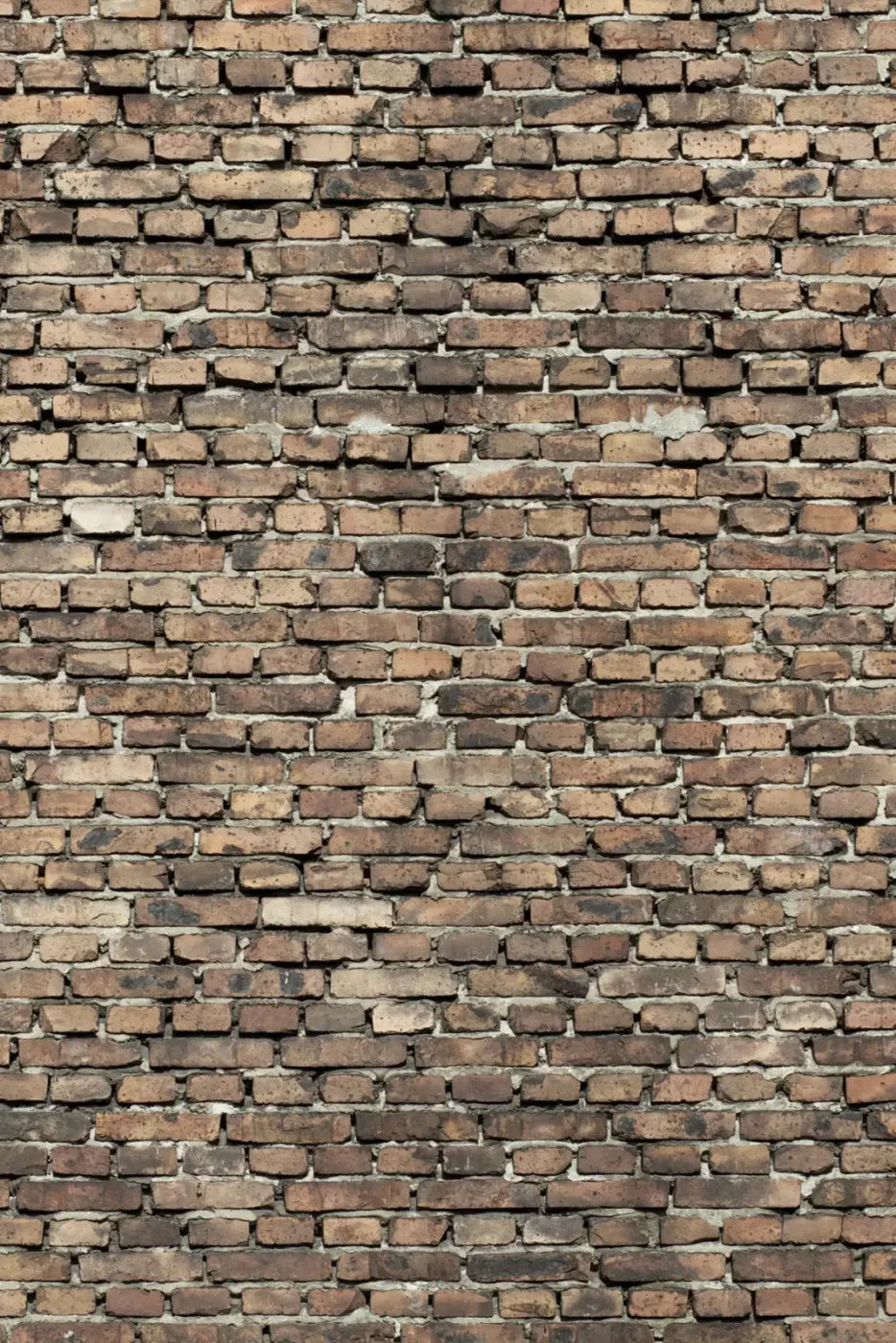 Guard Backdrop