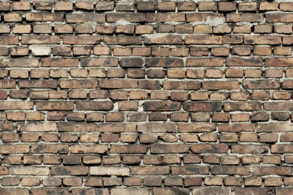 Guard Backdrop