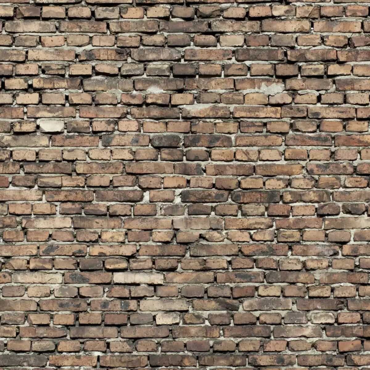 Guard Backdrop