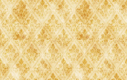 Gwen 16X10 Ultracloth ( 192 X 120 Inch ) Backdrop