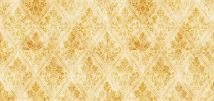 Gwen 16X8 Ultracloth ( 192 X 96 Inch ) Backdrop