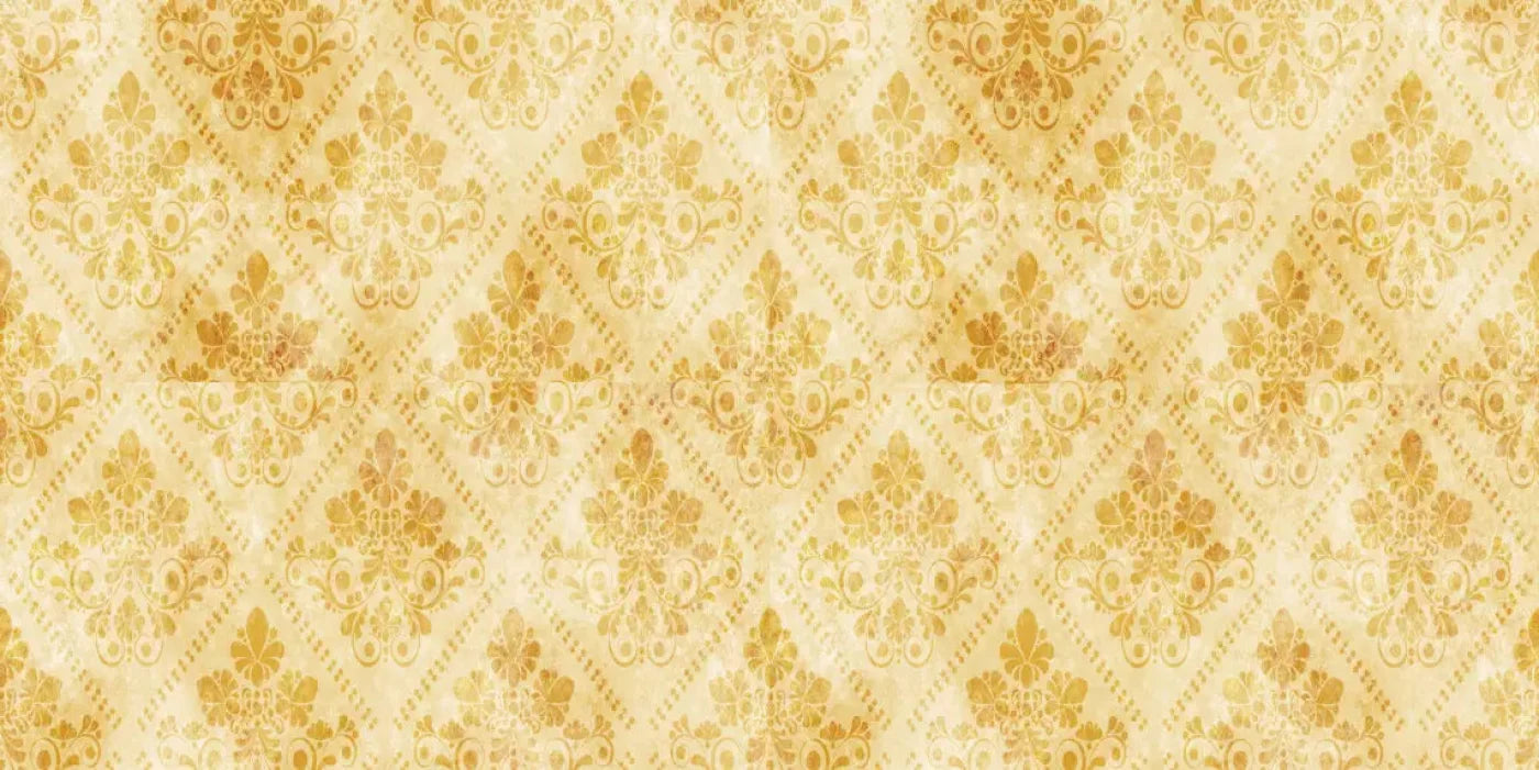 Gwen 20X10 Ultracloth ( 240 X 120 Inch ) Backdrop
