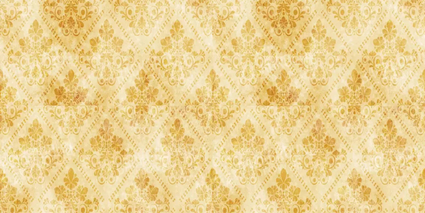 Gwen 20X10 Ultracloth ( 240 X 120 Inch ) Backdrop