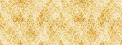 Gwen 20X8 Ultracloth ( 240 X 96 Inch ) Backdrop