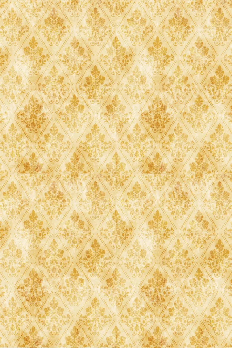 Gwen 5X8 Ultracloth ( 60 X 96 Inch ) Backdrop