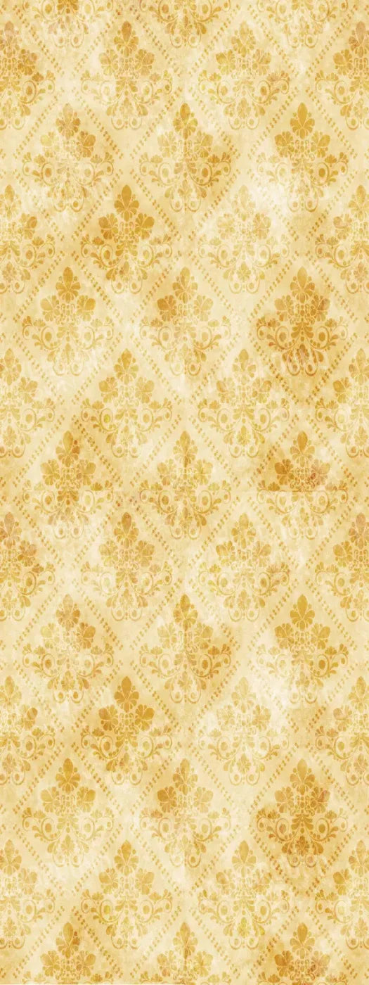 Gwen 8X20 Ultracloth ( 96 X 240 Inch ) Backdrop