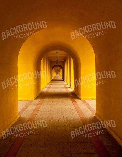 Hall Archway 6X8 Fleece ( 72 X 96 Inch ) Backdrop