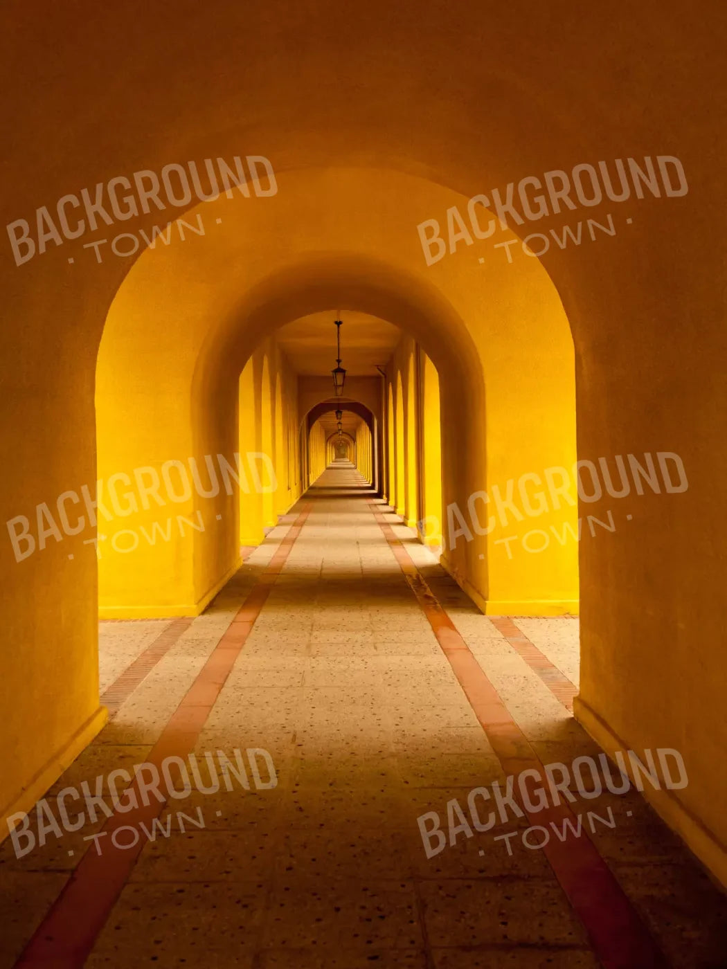 Hall Archway 8X10 Fleece ( 96 X 120 Inch ) Backdrop