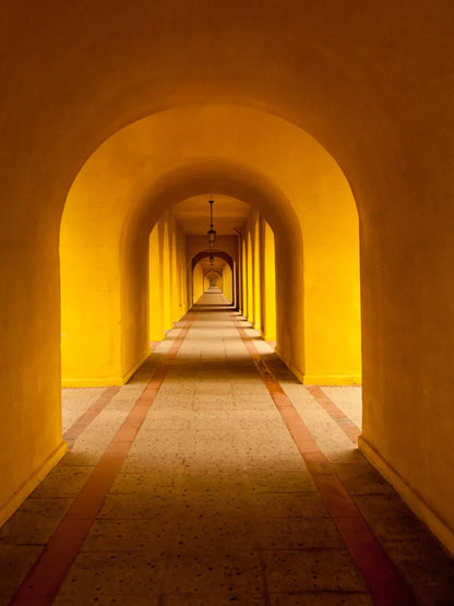 Hall Archway 8X10 Fleece ( 96 X 120 Inch ) Backdrop