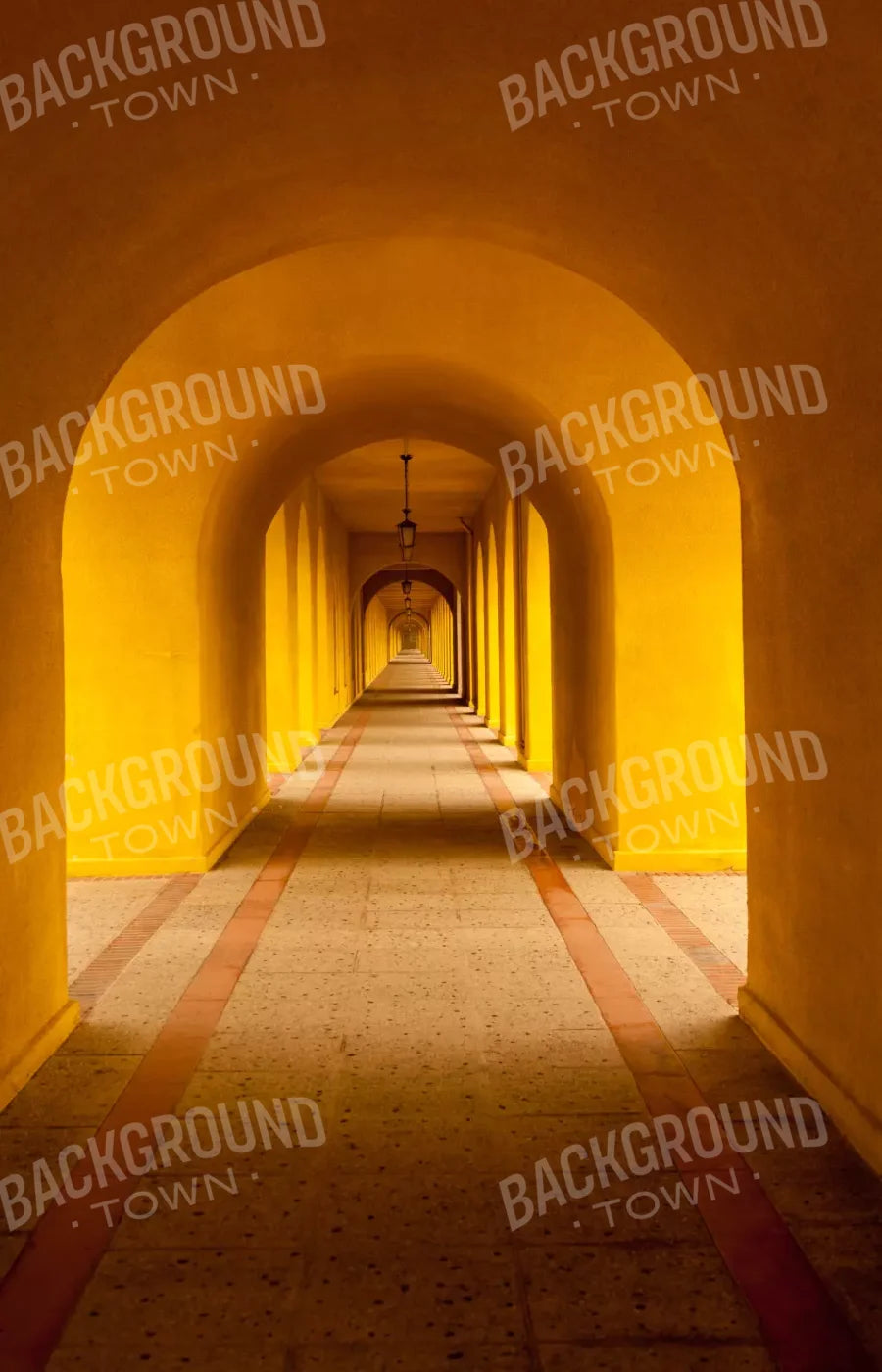Hall Archway 8X12 Ultracloth ( 96 X 144 Inch ) Backdrop