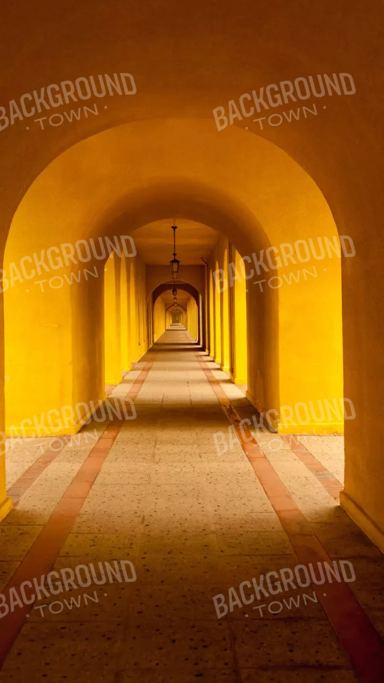 Hall Archway 8X14 Ultracloth ( 96 X 168 Inch ) Backdrop