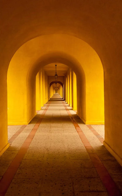 Hall Archway 9X14 Ultracloth ( 108 X 168 Inch ) Backdrop