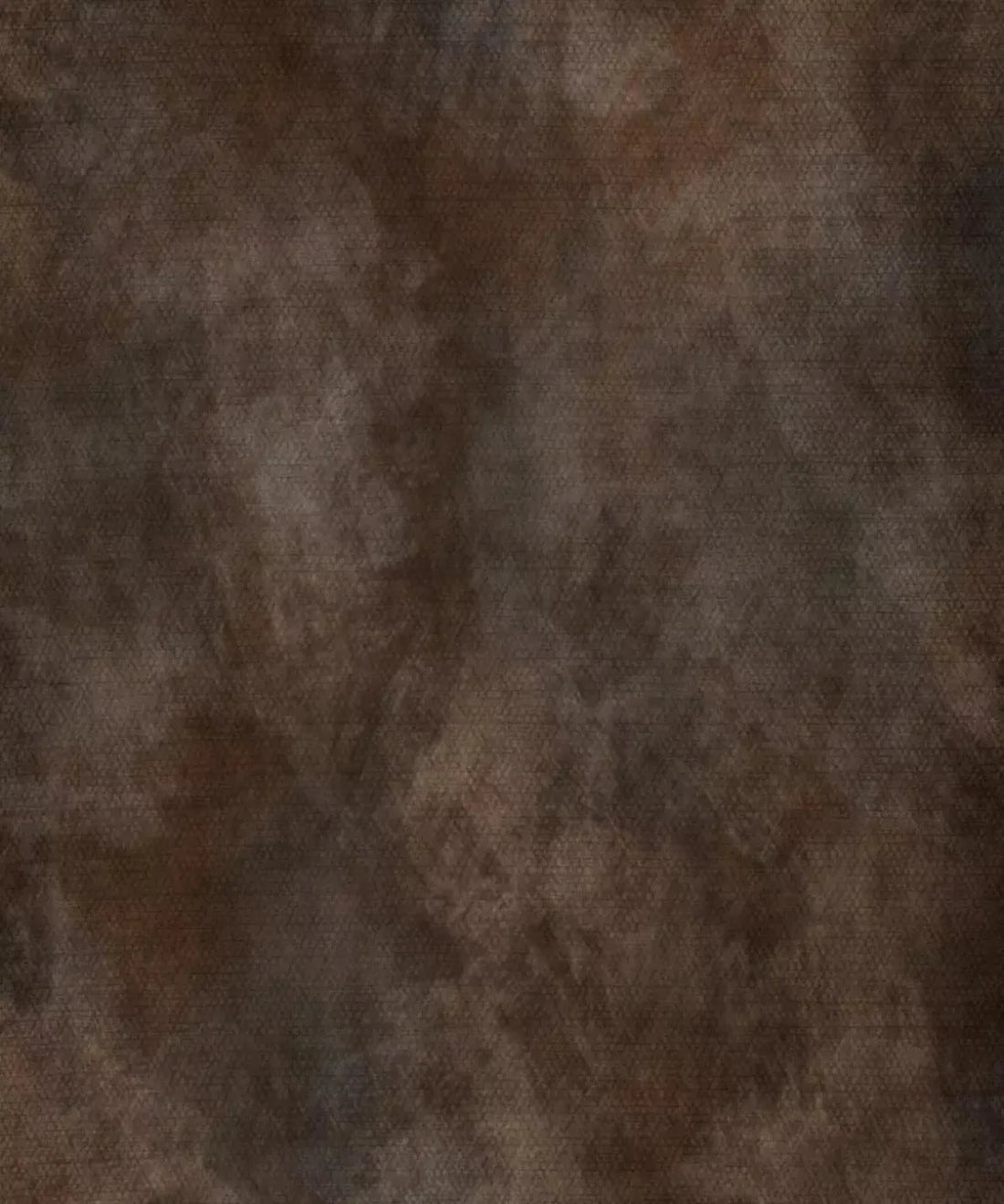 Brown Classic and Masters Backdrop for Photography