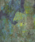 Green Urban Grunge Backdrop for Photography