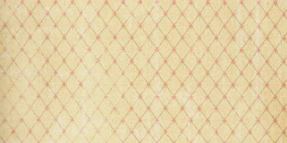 Hannah 20X10 Ultracloth ( 240 X 120 Inch ) Backdrop
