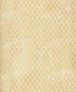 Yellow Pattern Backdrop for Photography