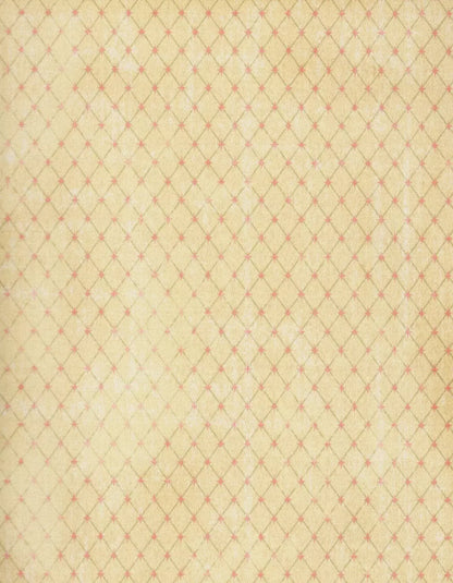 Hannah 6X8 Fleece ( 72 X 96 Inch ) Backdrop