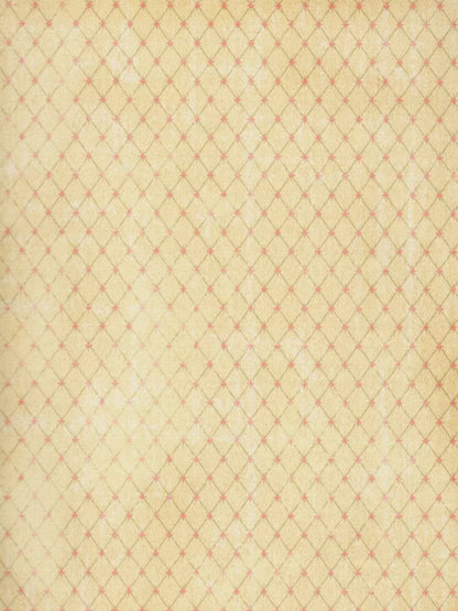 Hannah 8X10 Fleece ( 96 X 120 Inch ) Backdrop