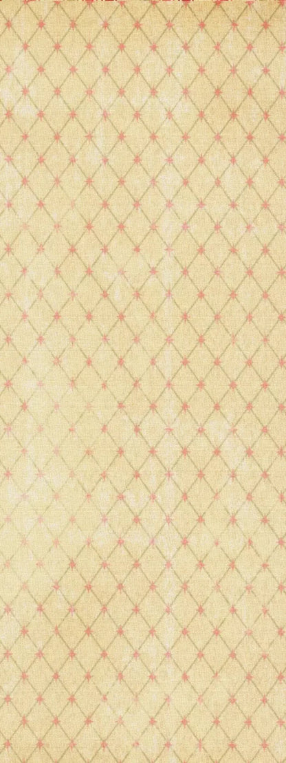 Hannah 8X20 Ultracloth ( 96 X 240 Inch ) Backdrop