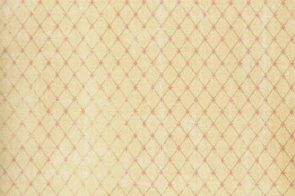 Hannah 8X5 Ultracloth ( 96 X 60 Inch ) Backdrop